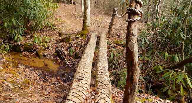 Make-shift Bridge Made from Fallen Trees
